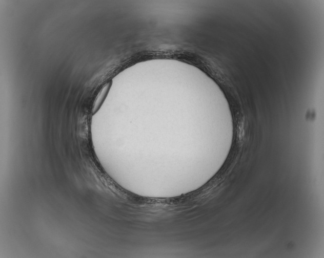 X0000111601204200908061406