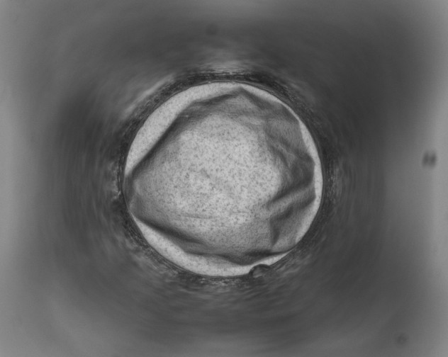 X0000111601205200908061406