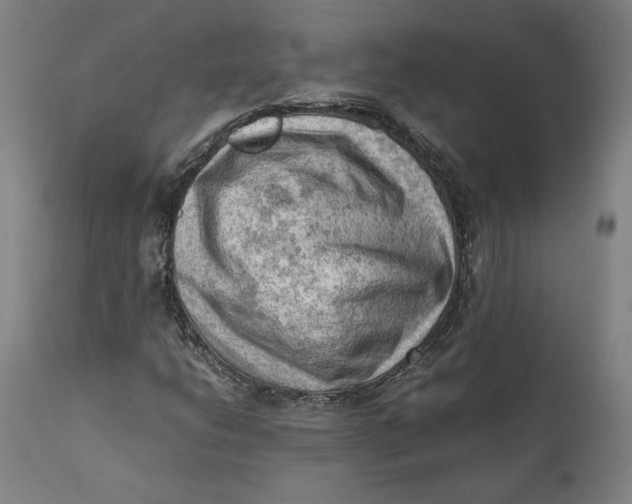 X0000111601206200908061406