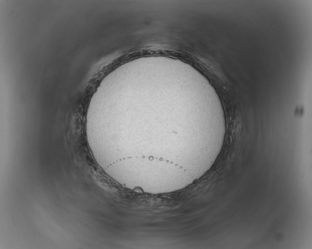 X0000111601207200908061406