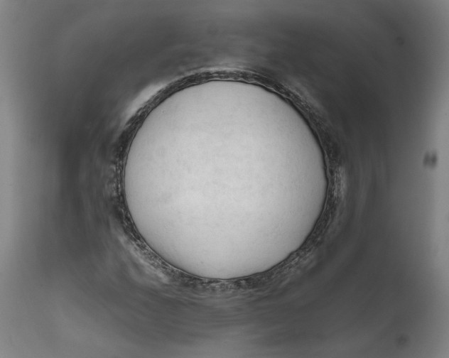 X0000111601208200908061406