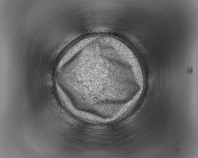 X0000111601209200908061406