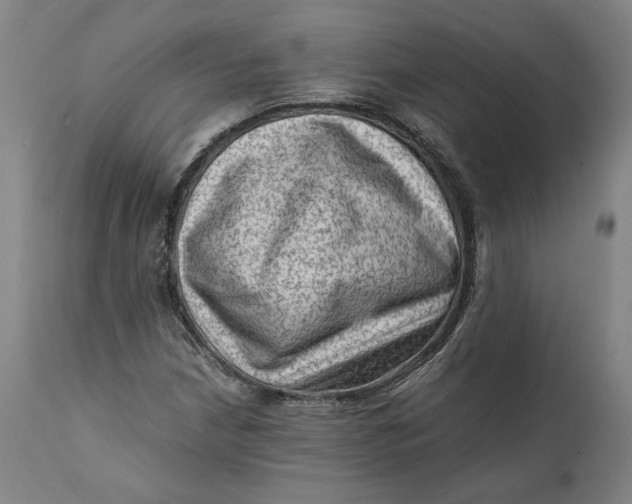 X0000111601210200908061406