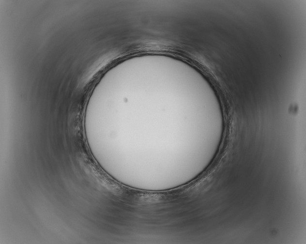 X0000111601211200908061406