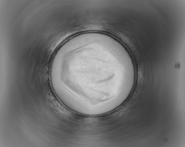 X0000111601212200908061406