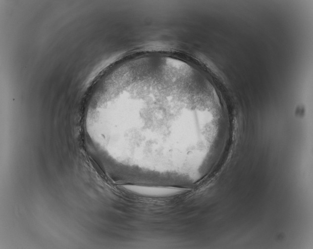 X0000111601213200908061406