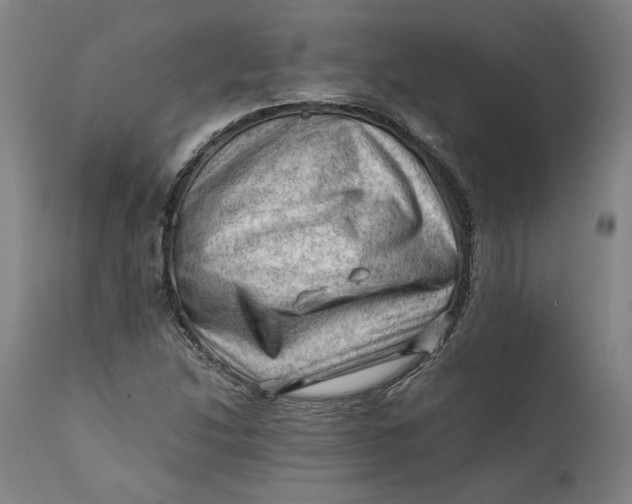 X0000111601214200908061406