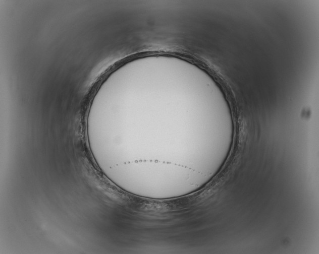 X0000111601215200908061406