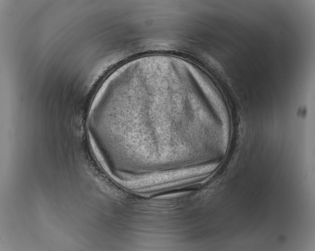 X0000111601218200908061406