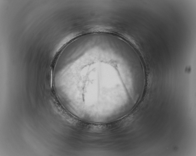 X0000111601219200908061406