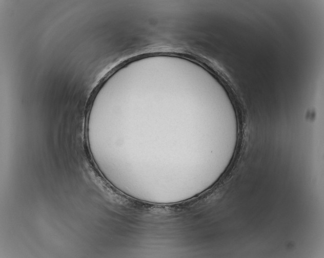 X0000111601220200908061406
