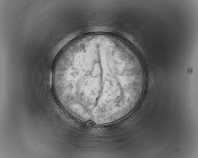 X0000111601221200908061406