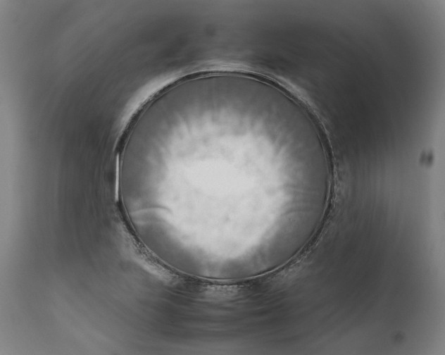 X0000111601223200908061406