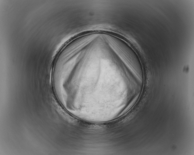 X0000111601224200908061406