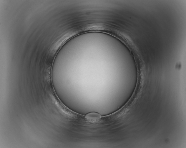 X0000111601225200908061406