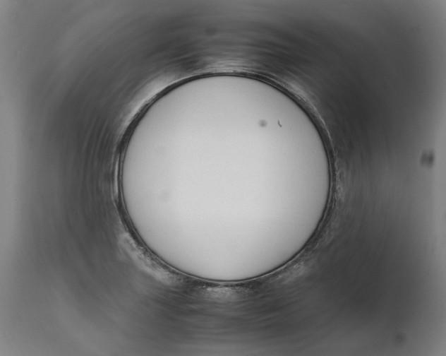 X0000111601227200908061406