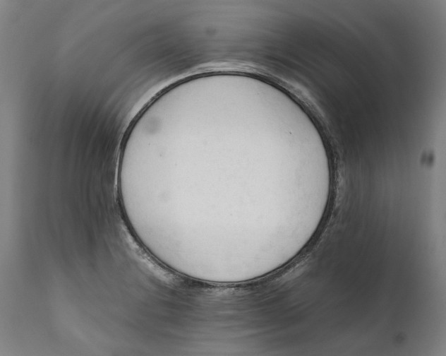 X0000111601228200908061406