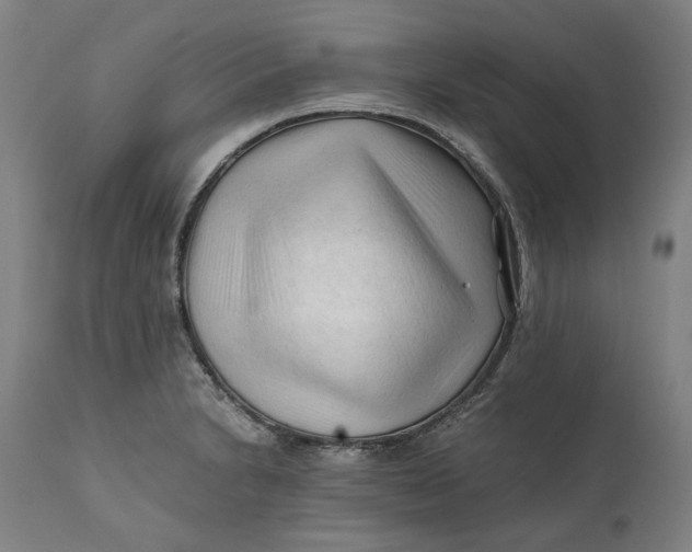X0000111601230200908061406