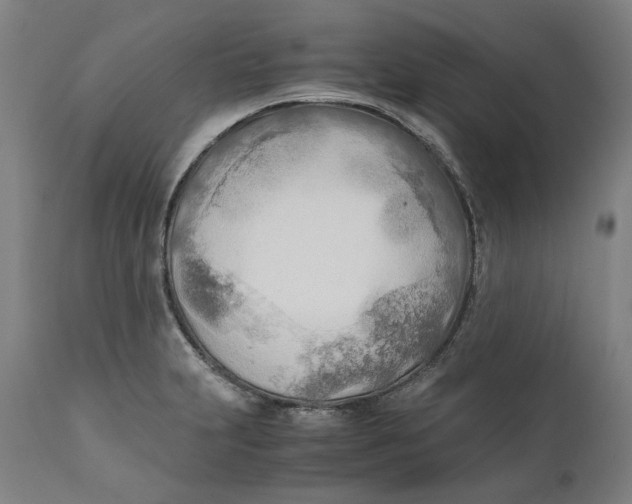 X0000111601231200908061406