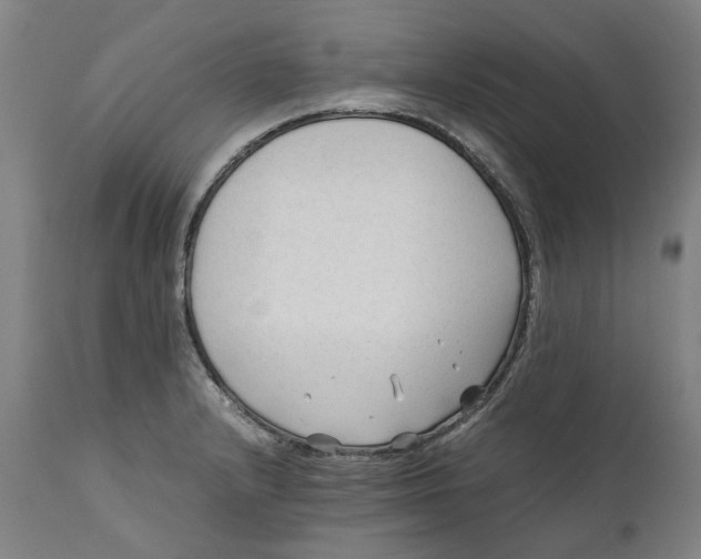X0000111601232200908061406