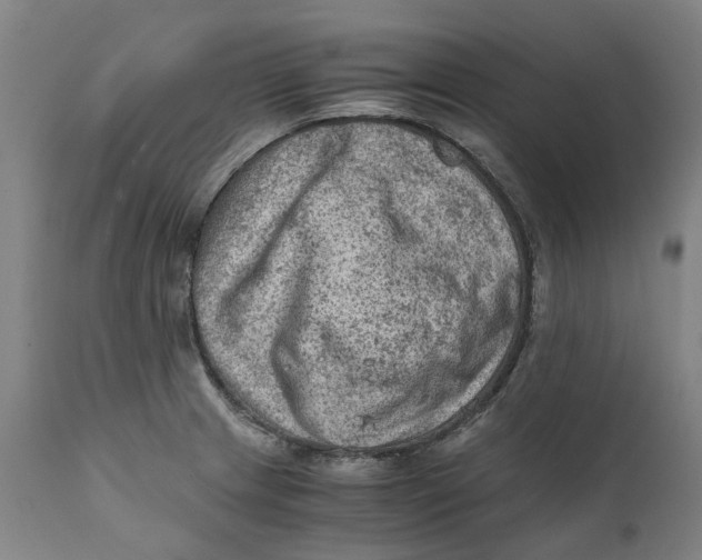 X0000111601233200908061406