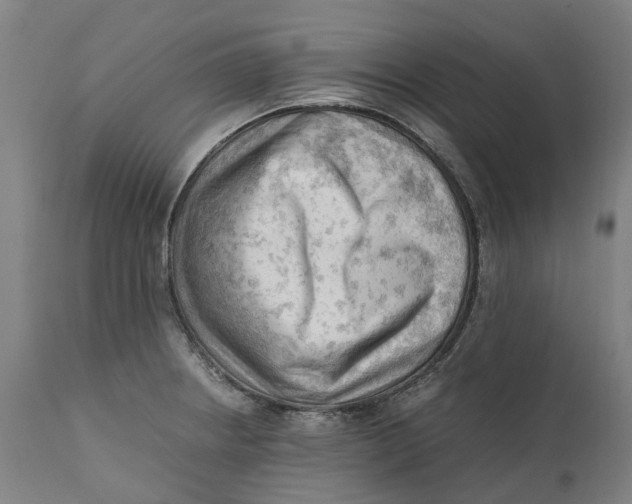 X0000111601234200908061406