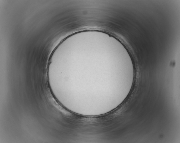X0000111601236200908061406
