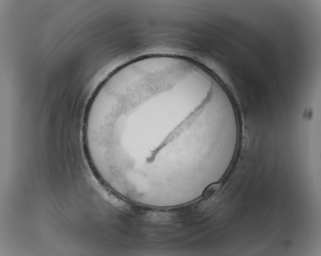 X0000111601237200908061406