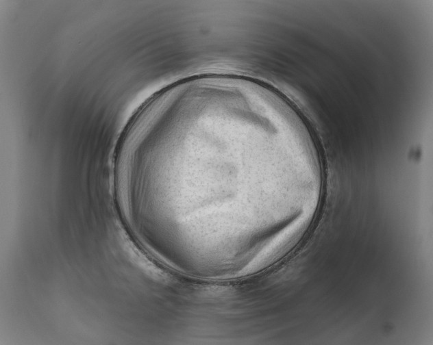 X0000111601238200908061406