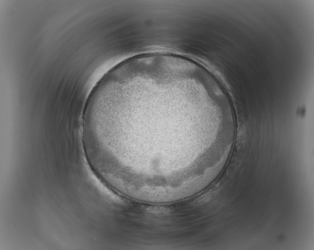 X0000111601239200908061406
