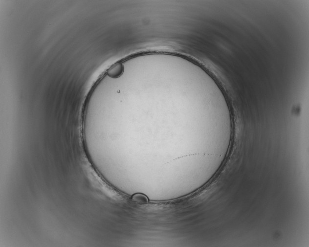 X0000111601240200908061406