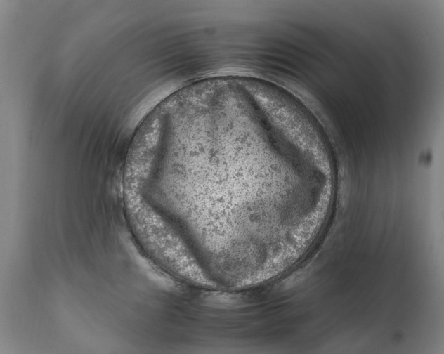 X0000111601241200908061406