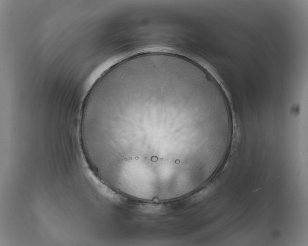 X0000111601245200908061406