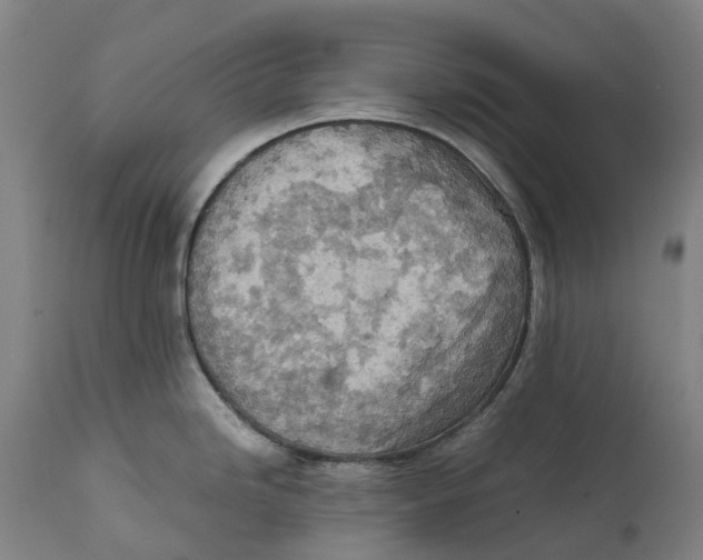 X0000111601246200908061406