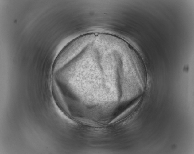 X0000111601247200908061406