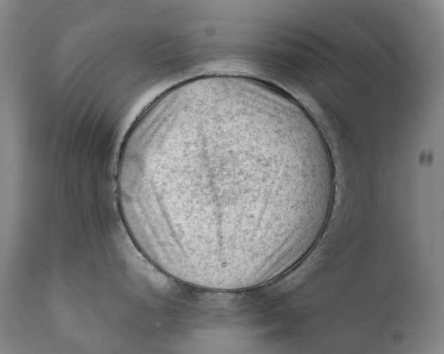 X0000111601248200908061406