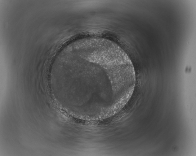 X0000111601249200908061406