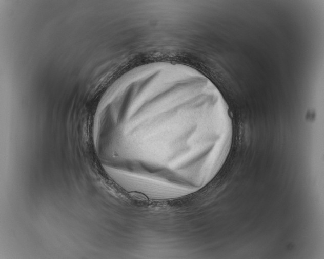 X0000111601250200908061406
