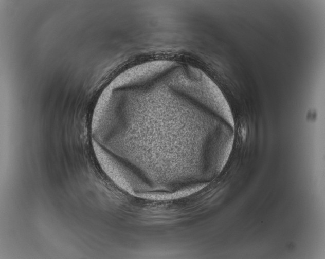 X0000111601252200908061406