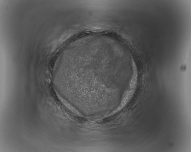 X0000111601253200908061406