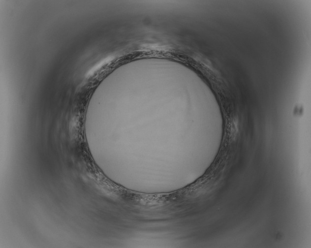 X0000111601254200908061406