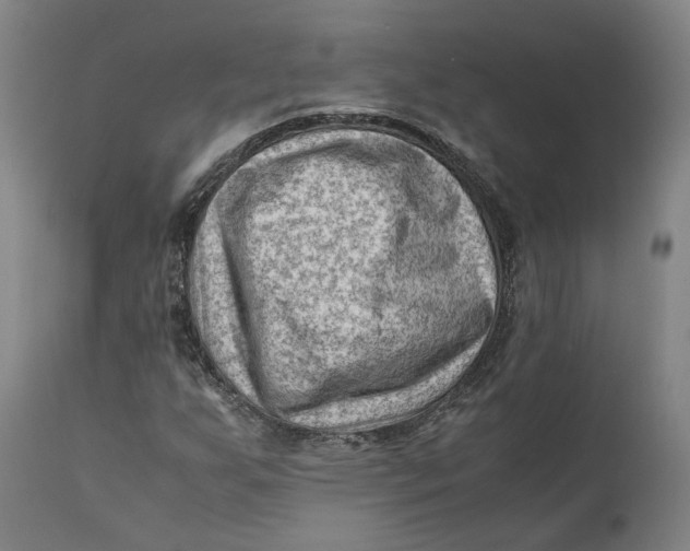 X0000111601255200908061406