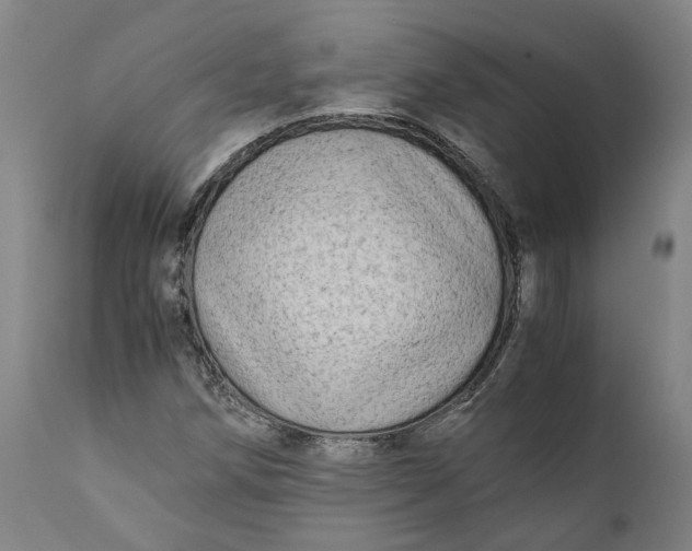 X0000111601258200908061406