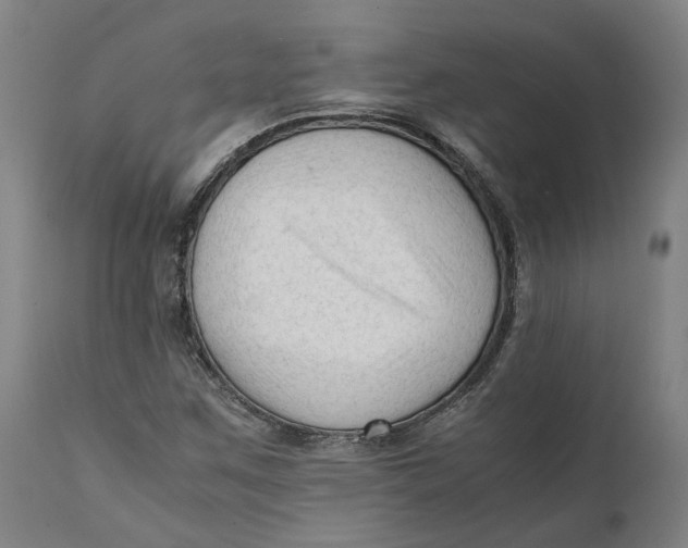 X0000111601259200908061406