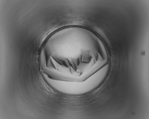 X0000111601260200908061406