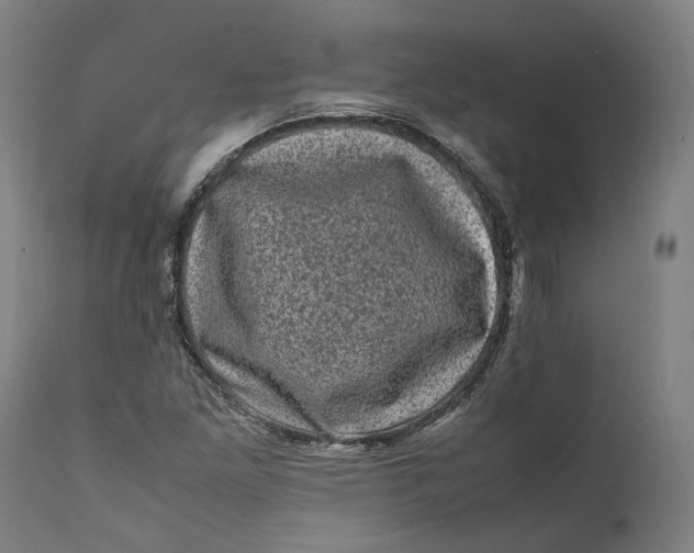 X0000111601261200908061406