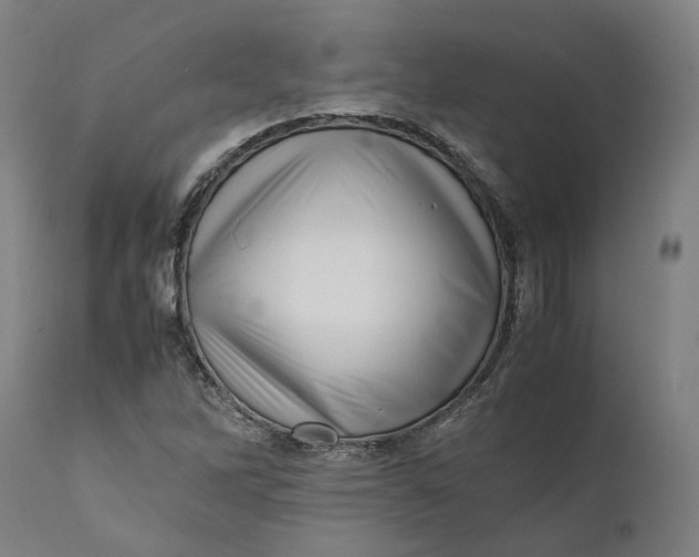X0000111601262200908061406