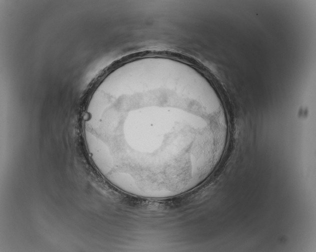 X0000111601263200908061405