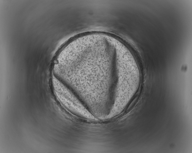 X0000111601264200908061405