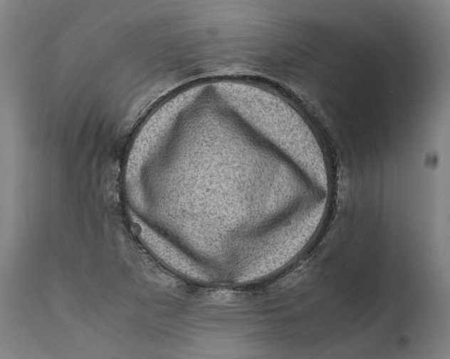 X0000111601265200908061405